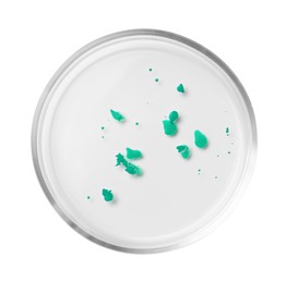 Photo of Petri dish with bacteria colony isolated on white, top view