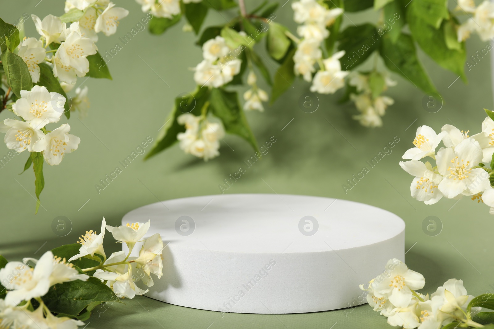 Photo of Presentation of product. White podium among beautiful jasmine flowers on pale green background, space for text