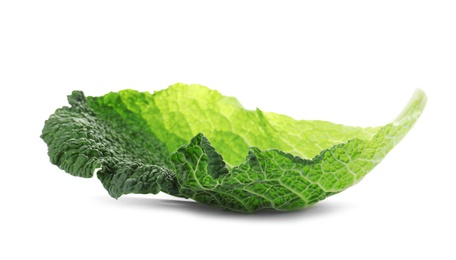 Green leaf of savoy cabbage on white background