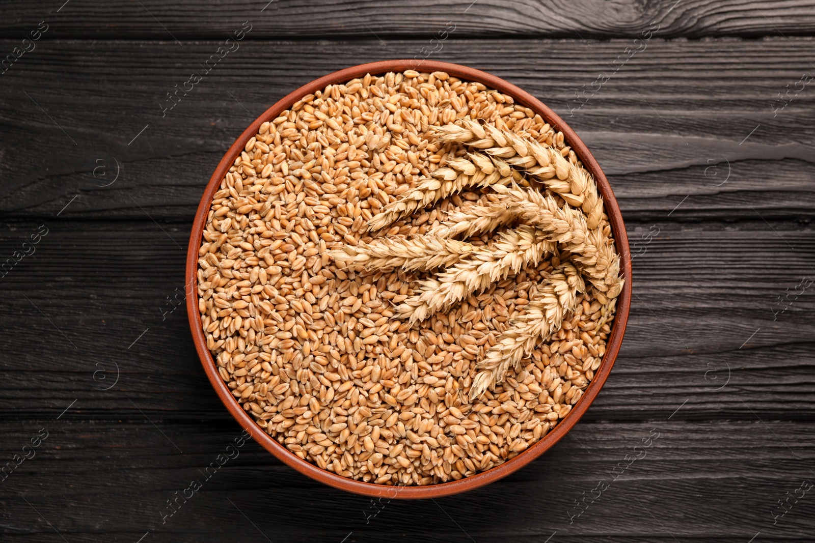 Photo of Bowl of wheat grains and spikelets on black wooden table, top view