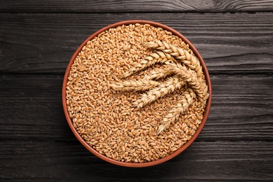 Photo of Bowl of wheat grains and spikelets on black wooden table, top view