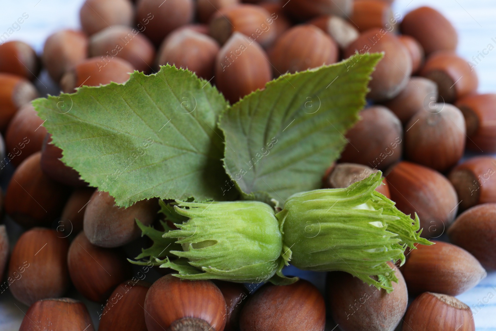 Photo of Pile of hazelnuts and leaves on table, closeup