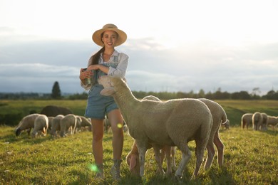 Smiling woman with bucket feeding sheep on pasture at farm