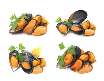 Set with tasty cooked mussels on white background 