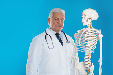 Photo of Senior orthopedist with human skeleton model on blue background