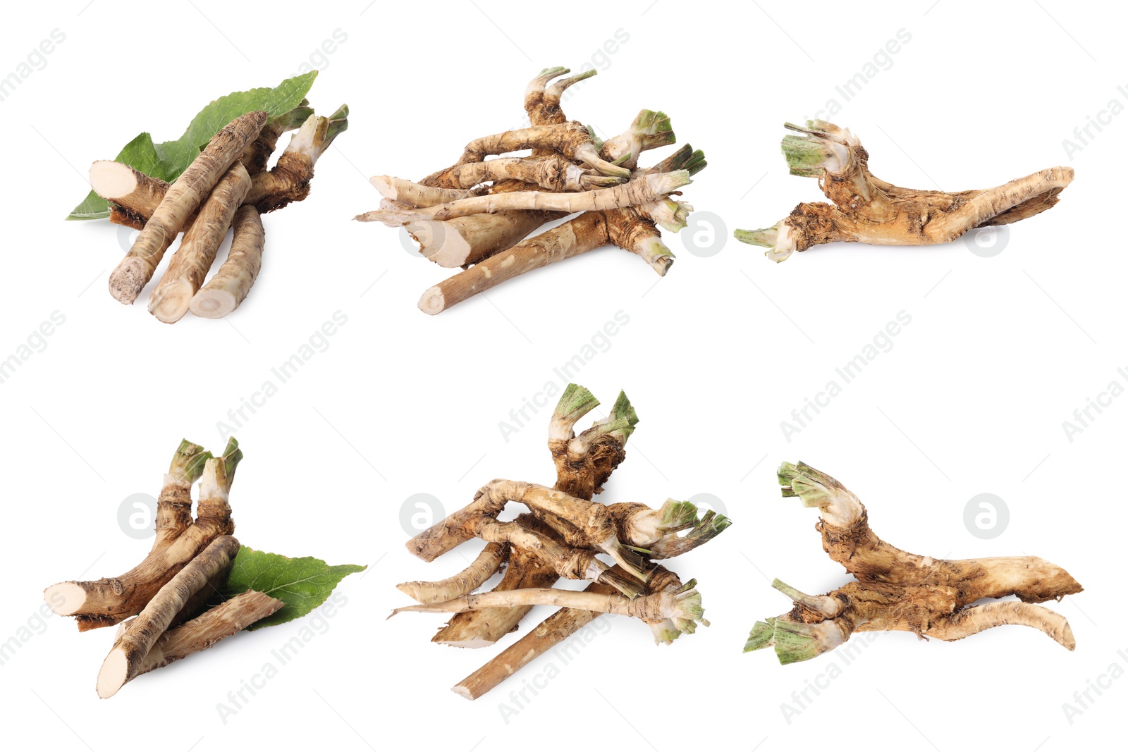 Image of Raw horseradish roots isolated on white, collage design