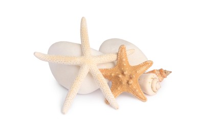 Photo of Beautiful sea stars, shells and stones isolated on white