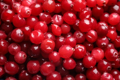 Photo of Fresh red cranberries as background, top view