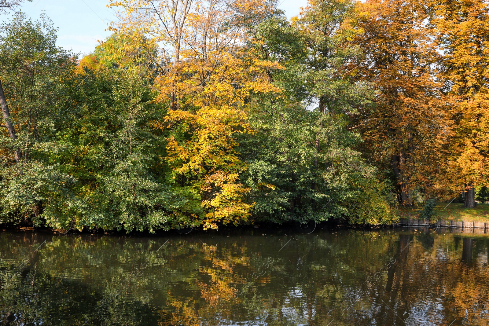 Photo of Picturesque view of river and trees in beautiful park. Autumn season