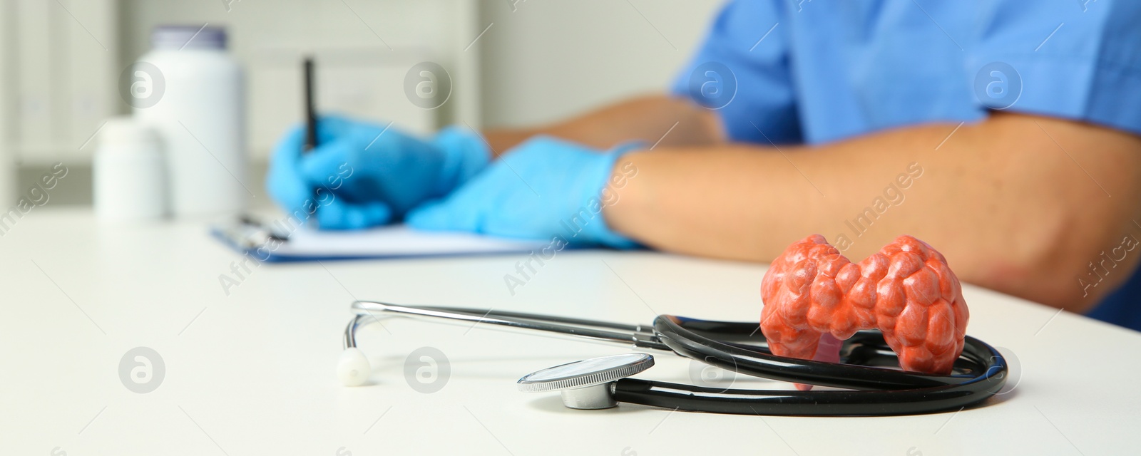 Image of Endocrinologist working at table, focus on thyroid gland model and stethoscope. Banner design with space for text