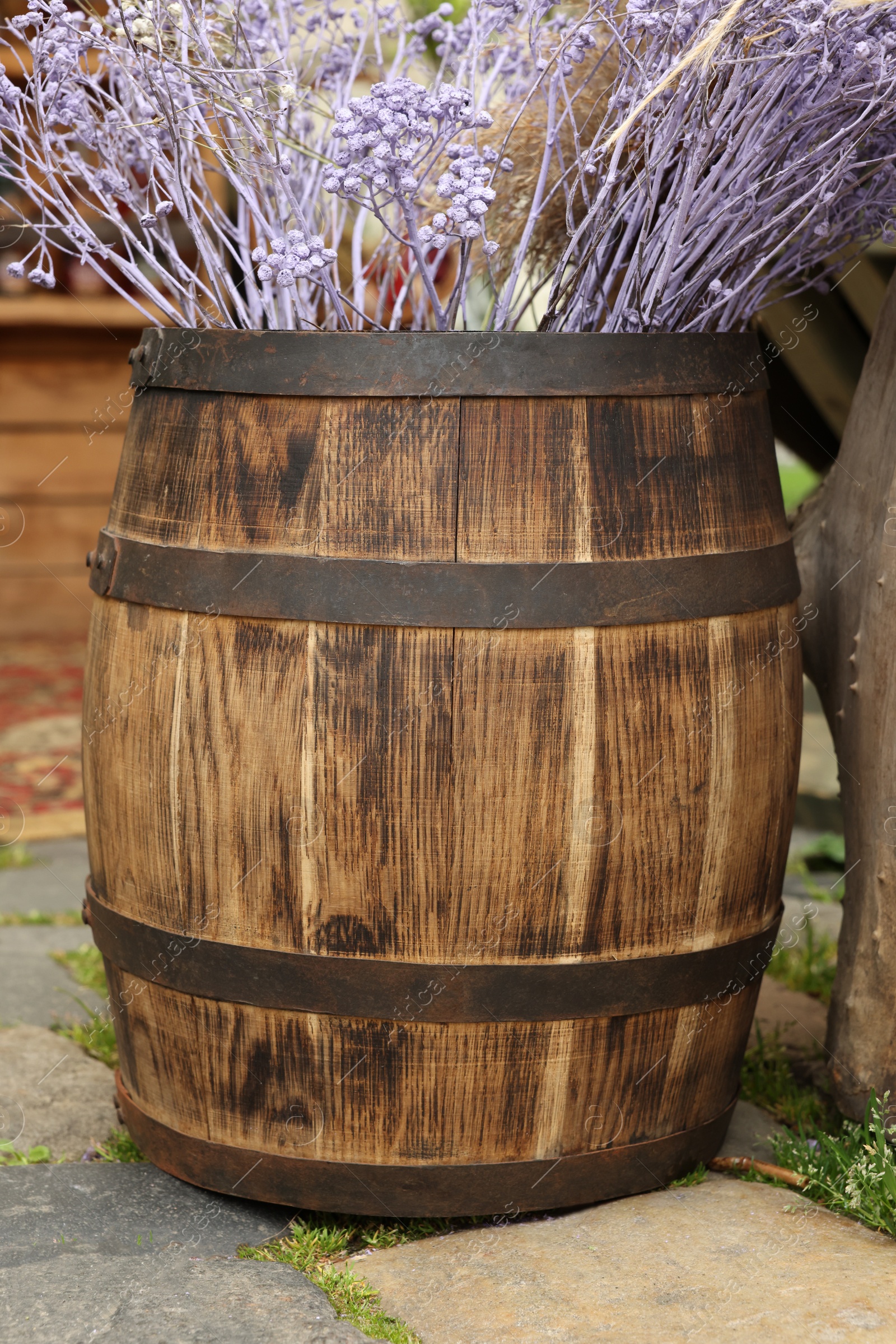 Photo of Traditional wooden barrel and beautiful decorative branches outdoors