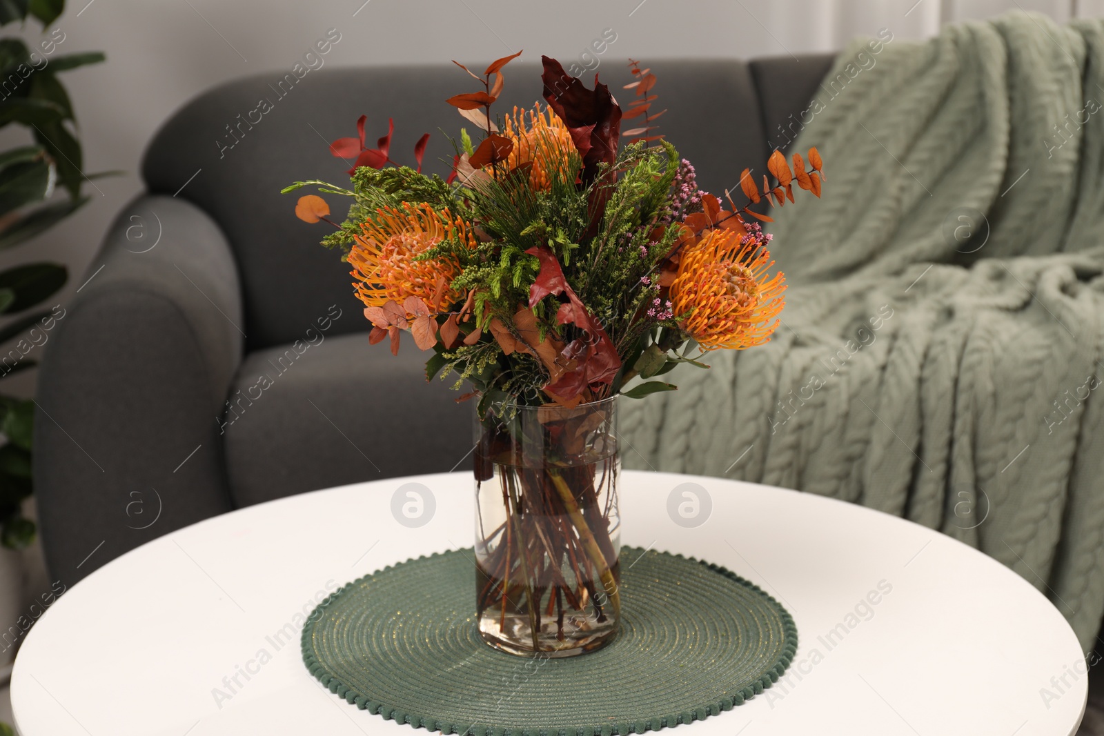 Photo of Vase with bouquet of beautiful leucospermum flowers on coffee table near grey sofa with blanket indoors