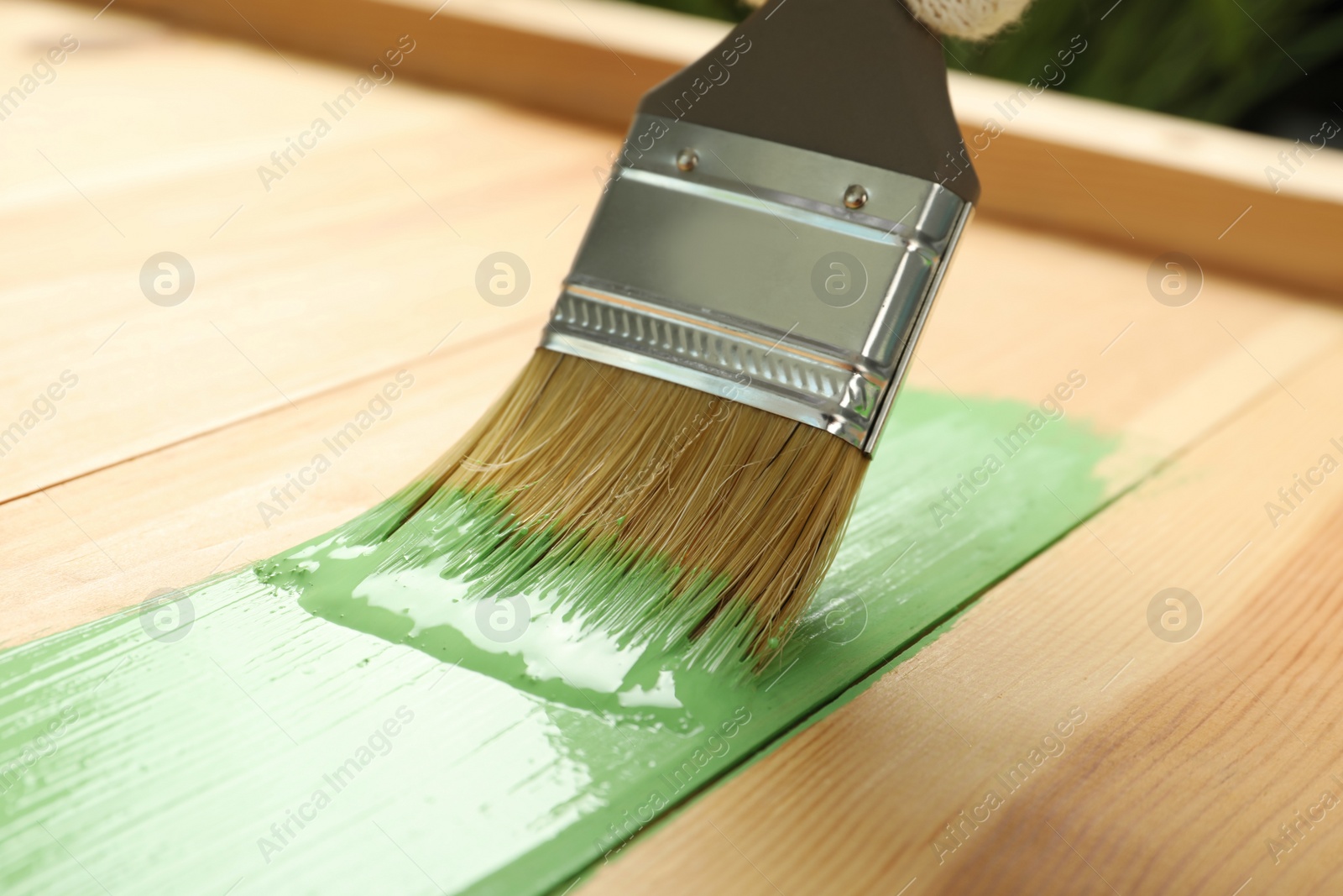 Photo of Applying green paint onto wooden surface, closeup