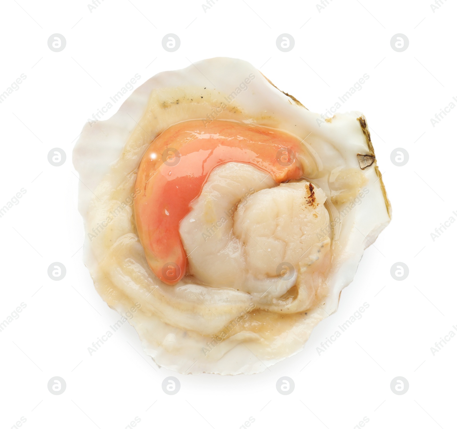 Photo of Fresh raw scallop in shell isolated on white, top view