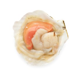 Photo of Fresh raw scallop in shell isolated on white, top view