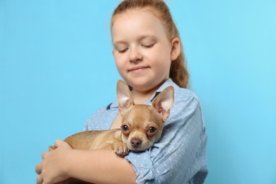 Photo of Cute little child with her Chihuahua dog on light blue background. Adorable pet