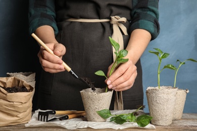 Woman planting seedlings in peat pots on table against color background, closeup