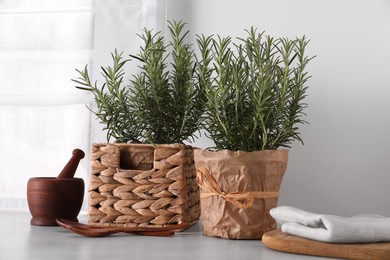 Photo of Aromatic green rosemary in pots, mortar and wooden spoons on white table