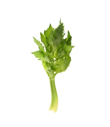Photo of Fresh green celery stem with leaves isolated on white