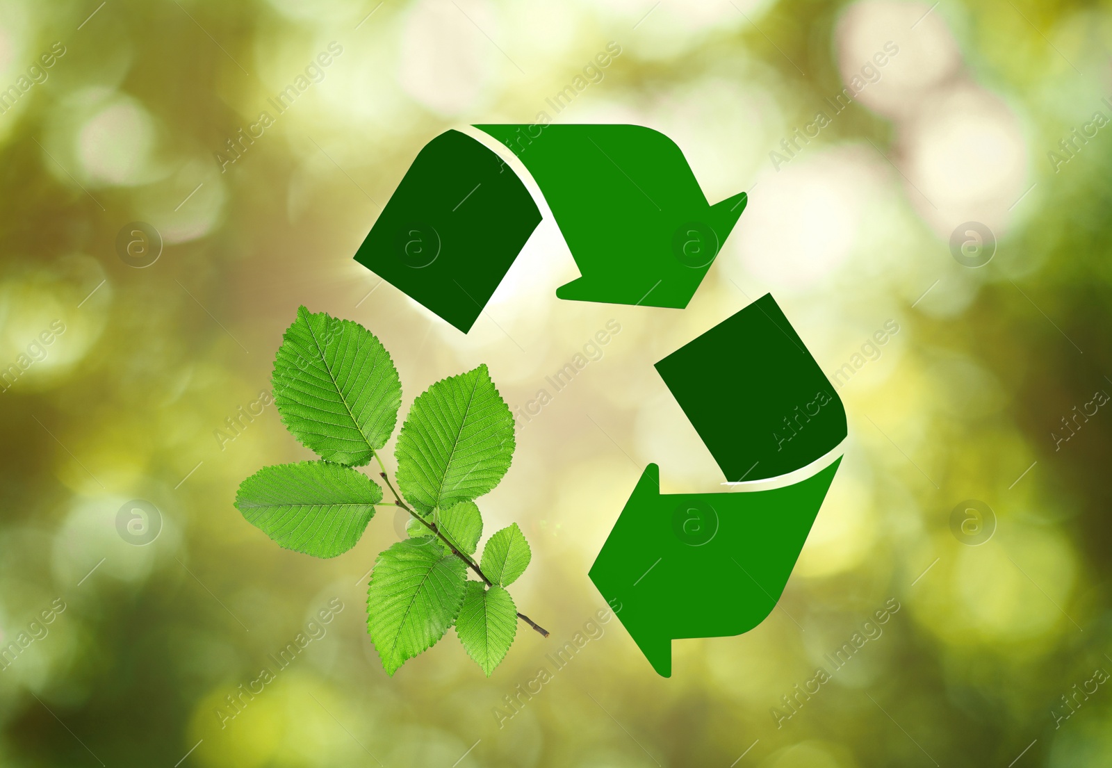 Image of Recycling symbol made of arrows and branch with green leaves on blurred background. Bokeh effect