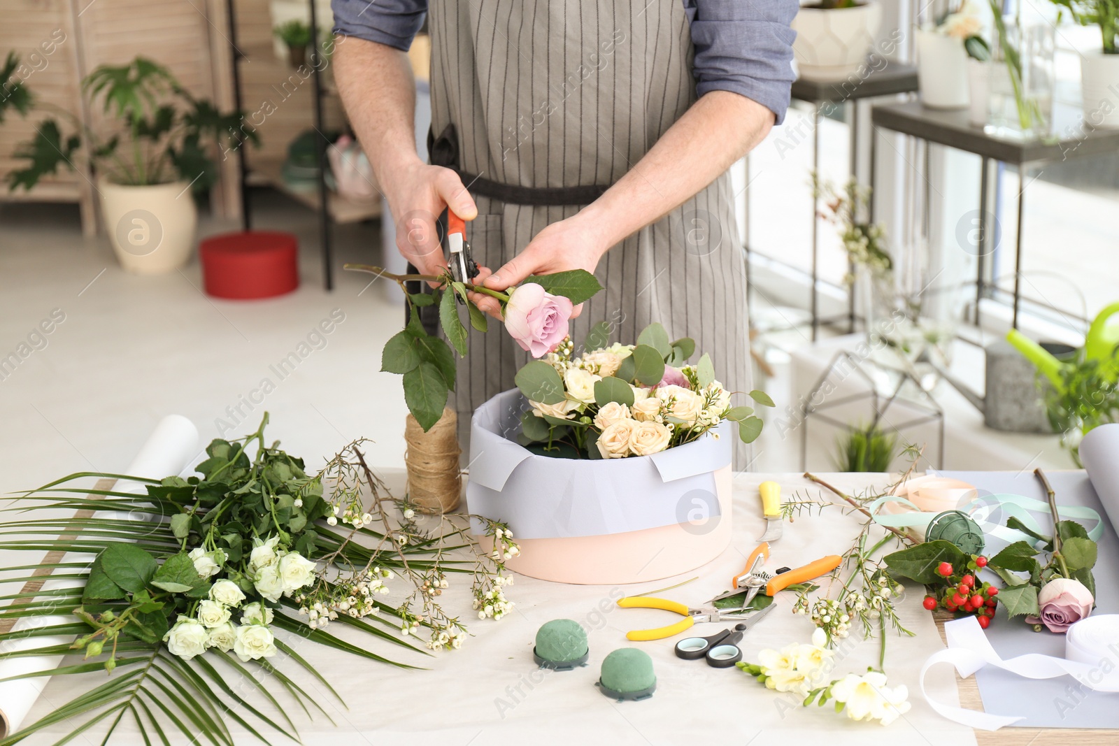 Photo of Male florist pruning rose at workplace