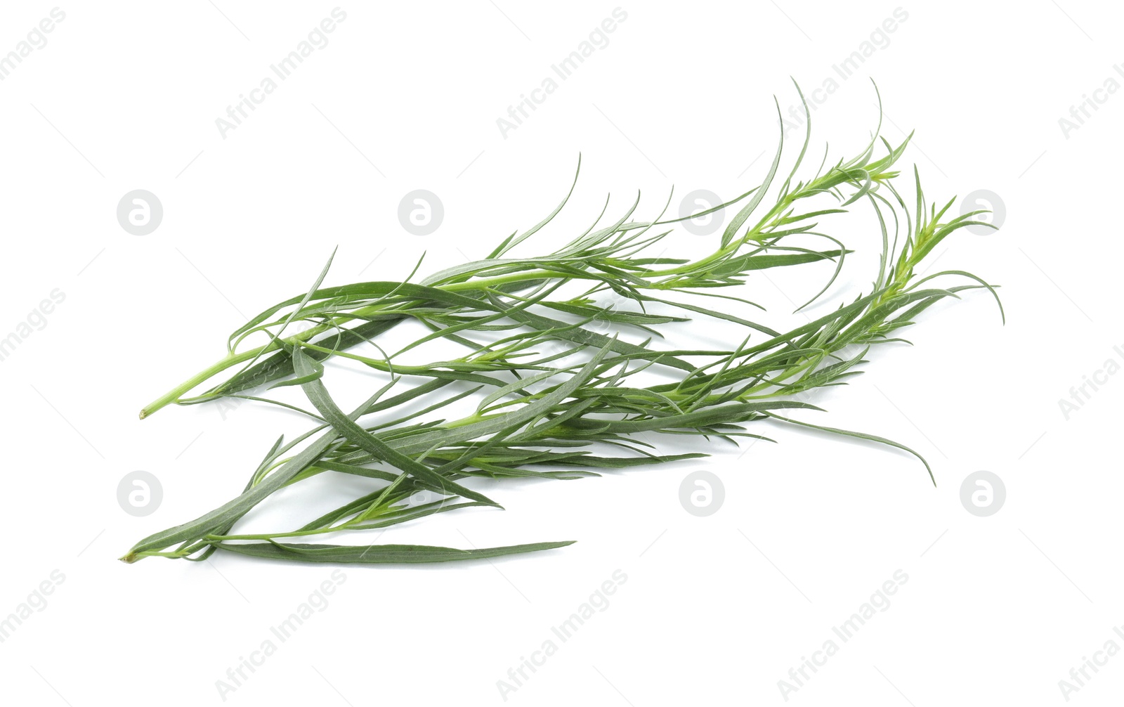 Photo of Sprigs of fresh tarragon on white background