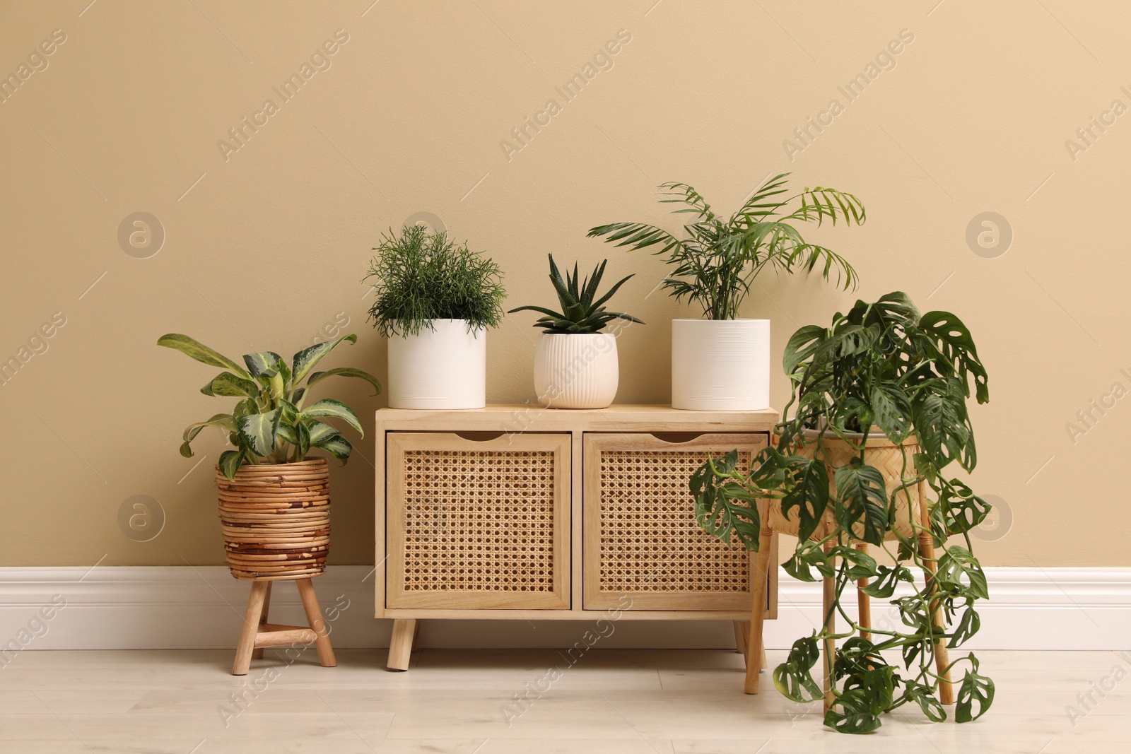 Photo of Different beautiful houseplants near beige wall indoors. Interior design