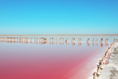 Beautiful view of pink lake on summer day