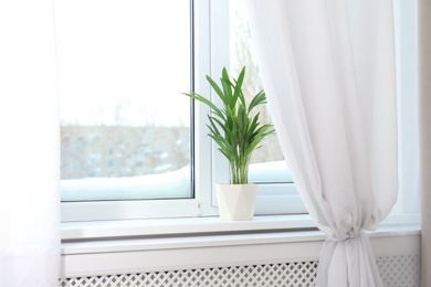 Photo of Window with open curtains and houseplant on sill