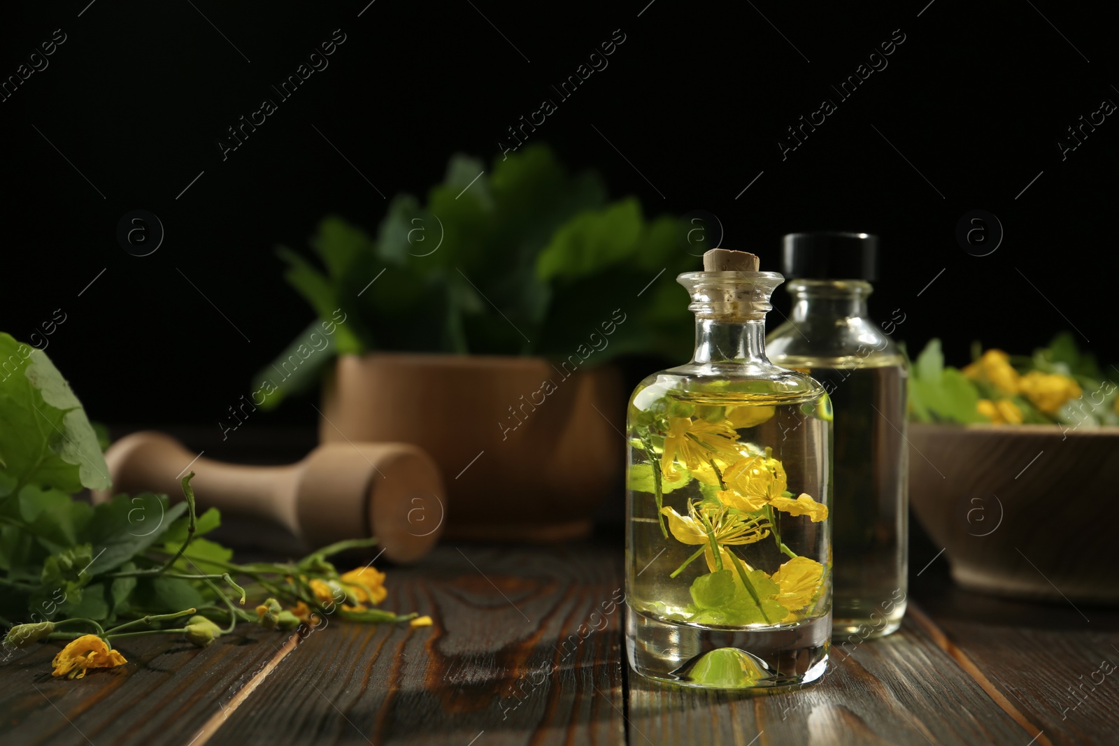 Photo of Bottles of celandine tincture and plant on wooden table, space for text