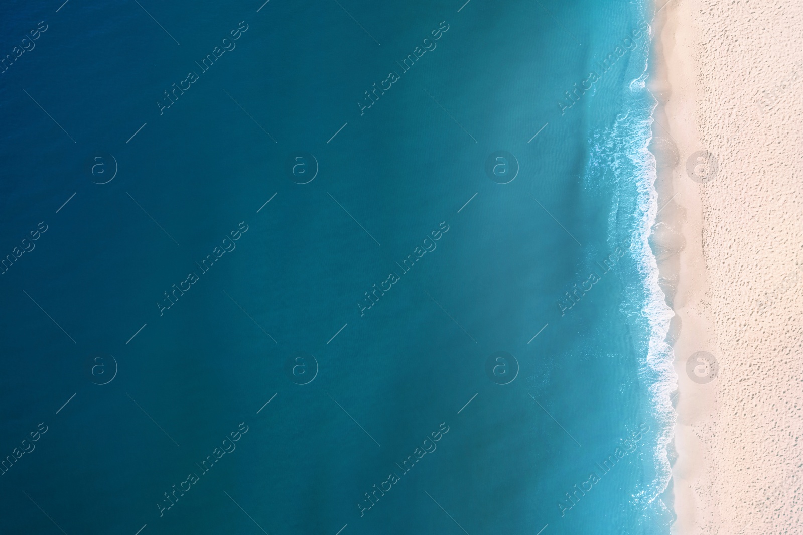 Image of Aerial view of beautiful sea and sandy beach on sunny day