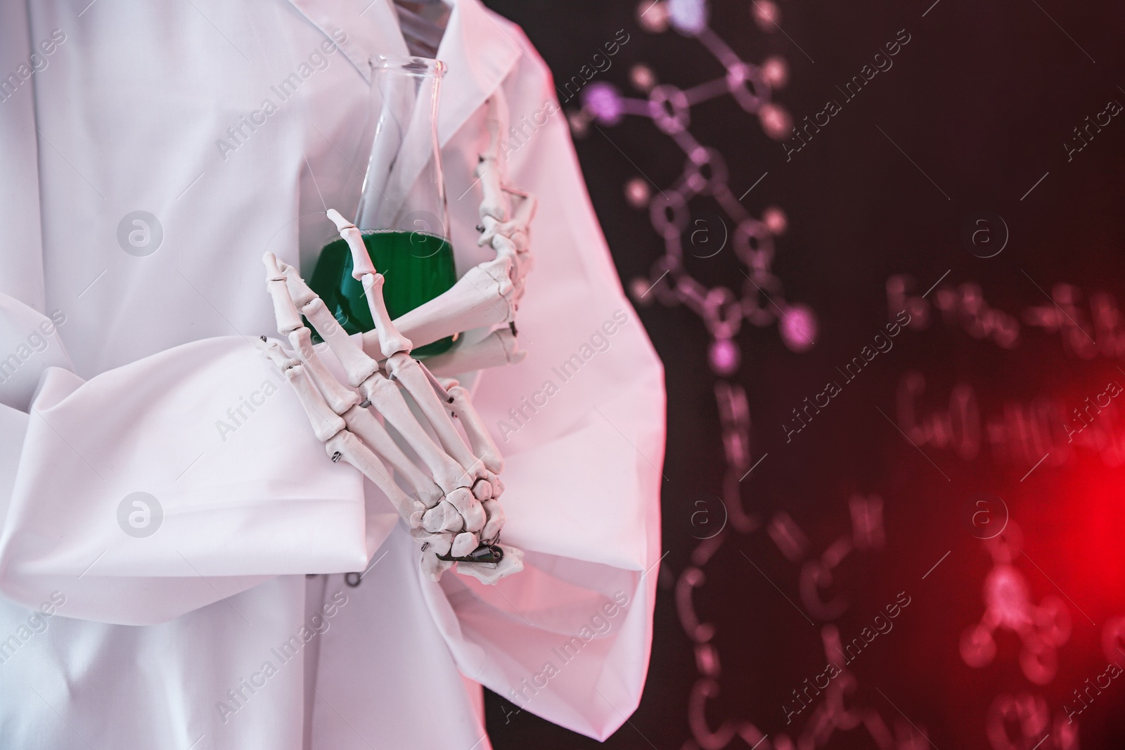 Photo of Human skeleton model with flask in classroom, closeup