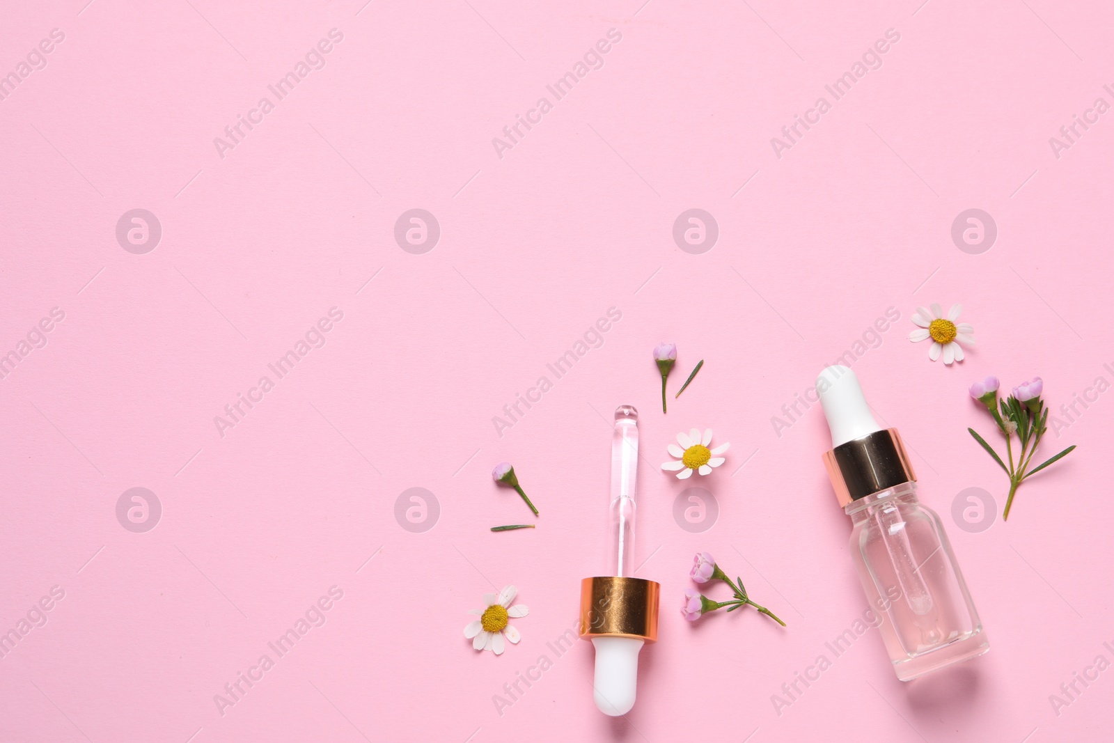 Photo of Bottle of cosmetic serum, pipette and beautiful flowers on pink background, flat lay. Space for text