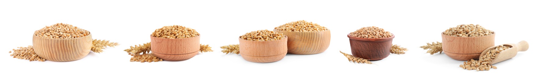 Image of Set with bowls of wheat grains on white background. Banner design