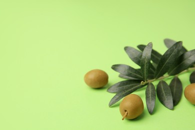 Photo of Fresh olives and leaves on light green background, closeup. Space for text