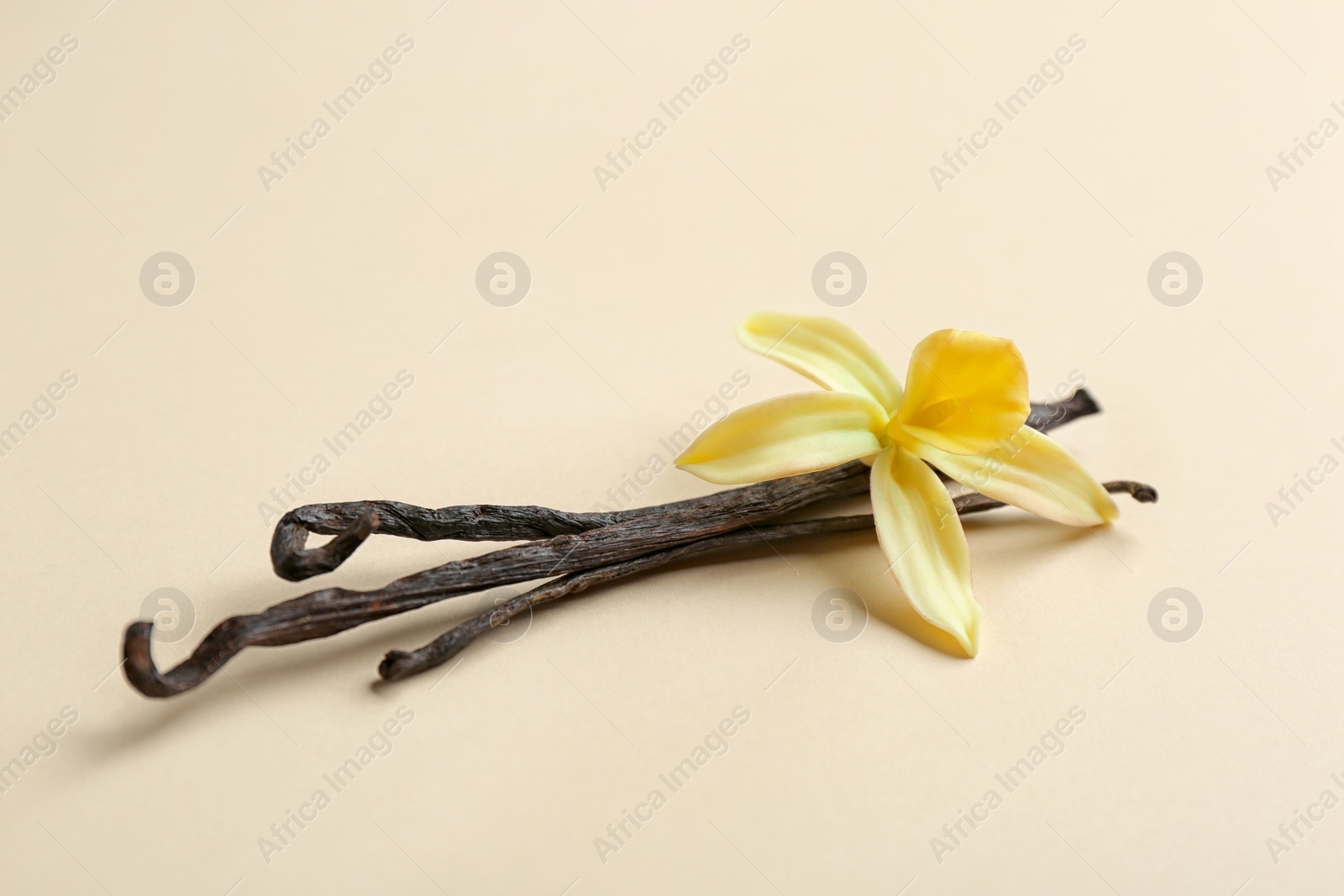 Photo of Vanilla sticks and flower on color background. Space for text