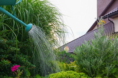 Photo of Watering beautiful flowerbed at backyard outdoors. Home gardening