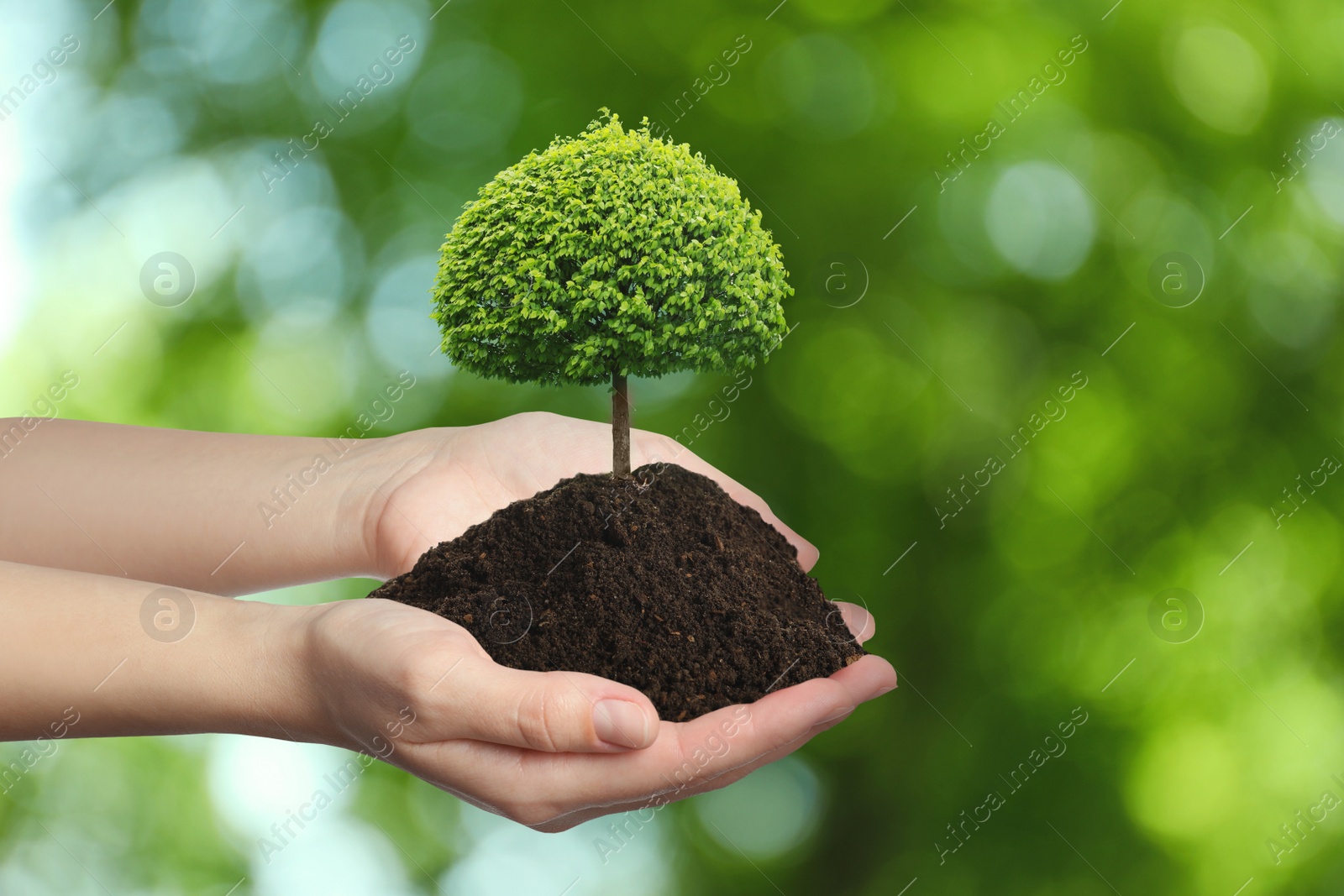 Image of Woman holding pile of soil with small tree on blurred green background, closeup. Eco friendly lifestyle 