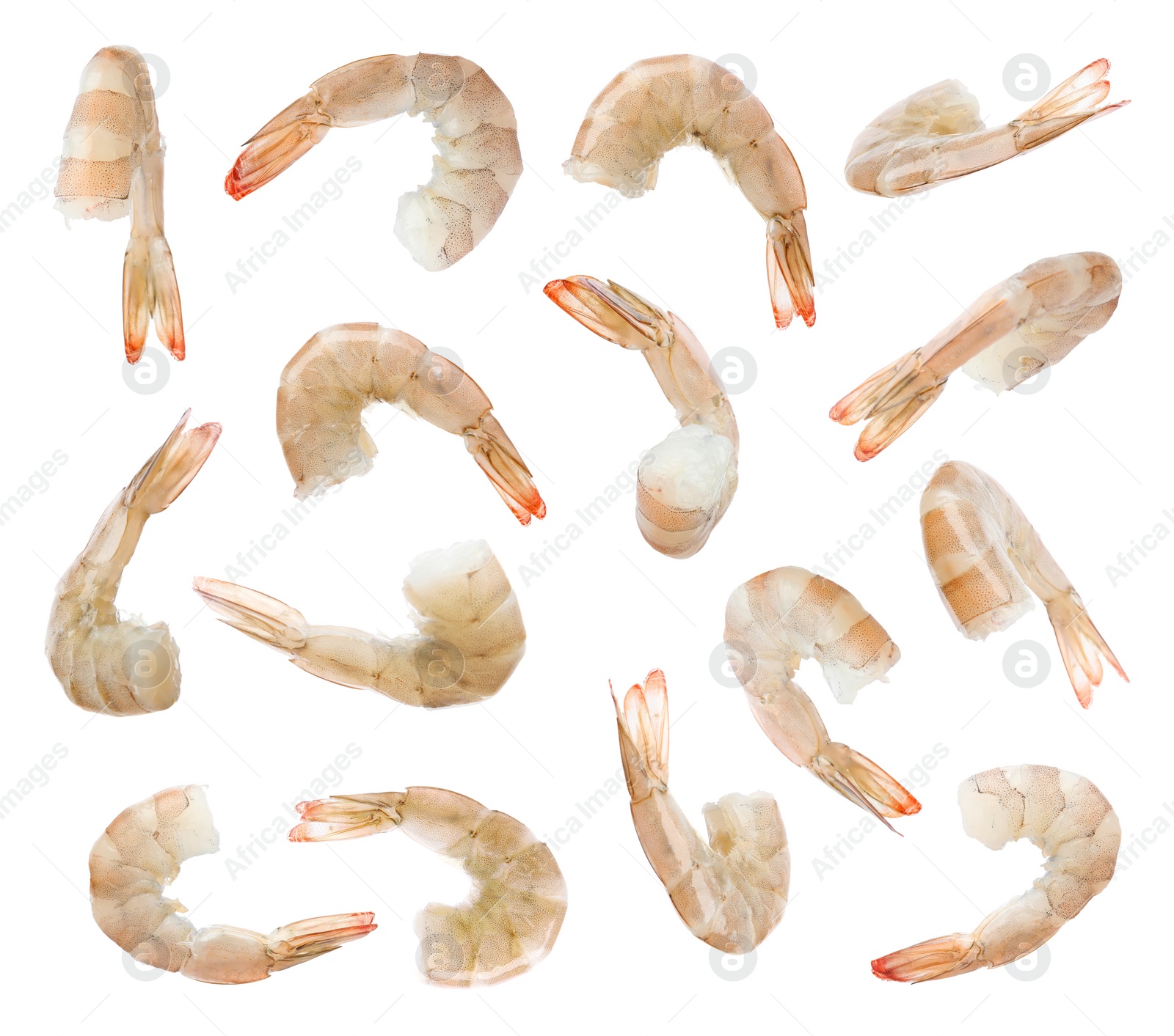 Image of Collage of raw shrimps on white background