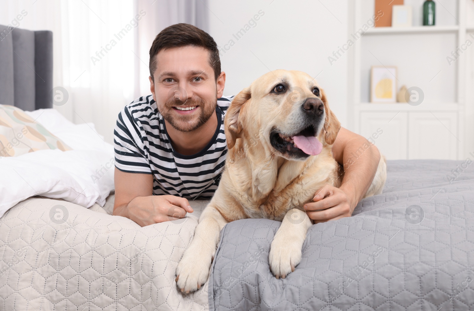 Photo of Man hugging with adorable Labrador Retriever dog on bed at home. Lovely pet