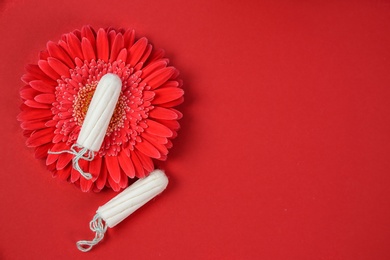 Flat lay composition with flower and tampons on color background. Gynecological checkup