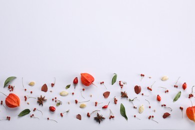 Autumn flat lay composition with physalis and berries on white background. Space for text