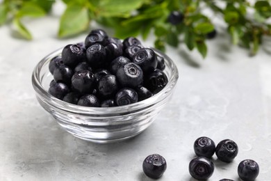 Photo of Ripe bilberries in bowl on light marble table, closeup