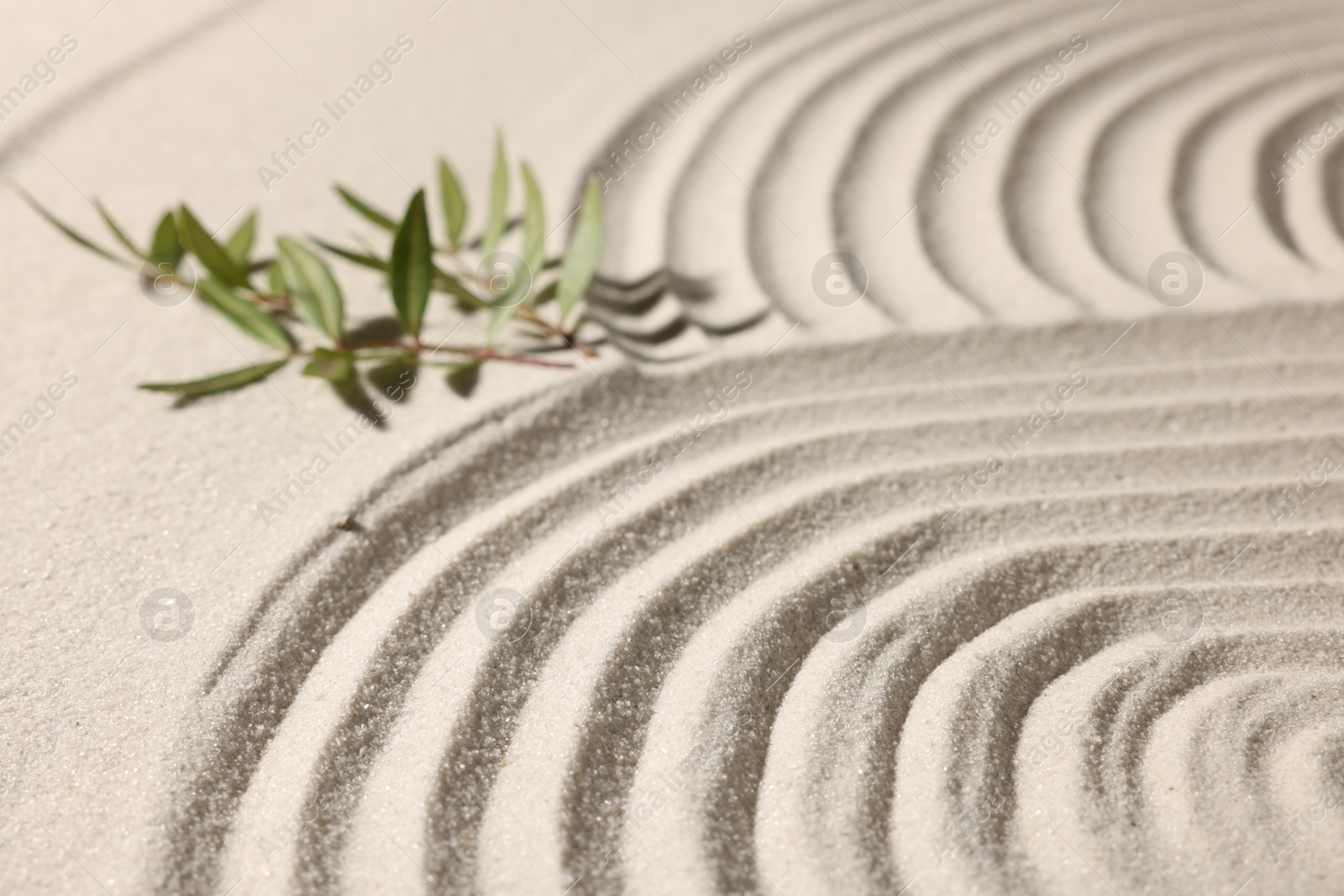 Photo of Beautiful lines and branches on sand, closeup. Zen garden