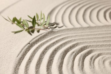 Beautiful lines and branches on sand, closeup. Zen garden