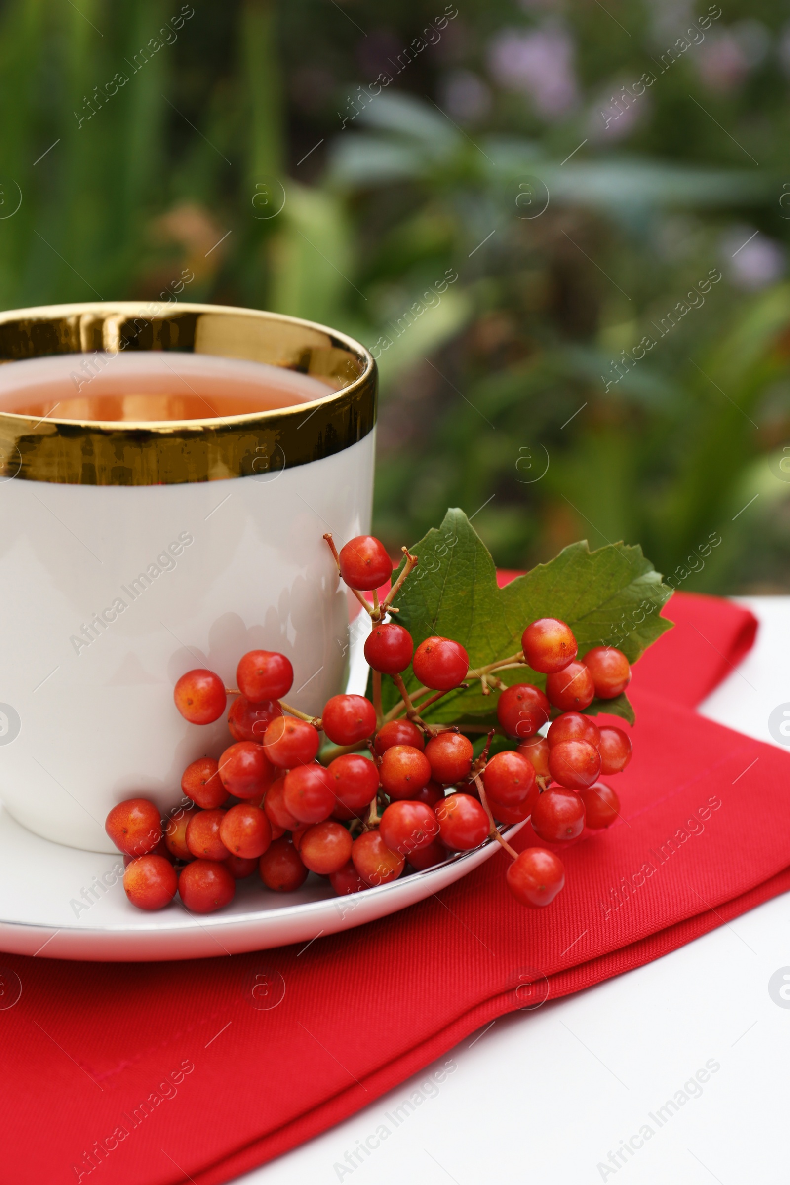 Photo of Cup of tea and fresh ripe viburnum berries on table outdoors