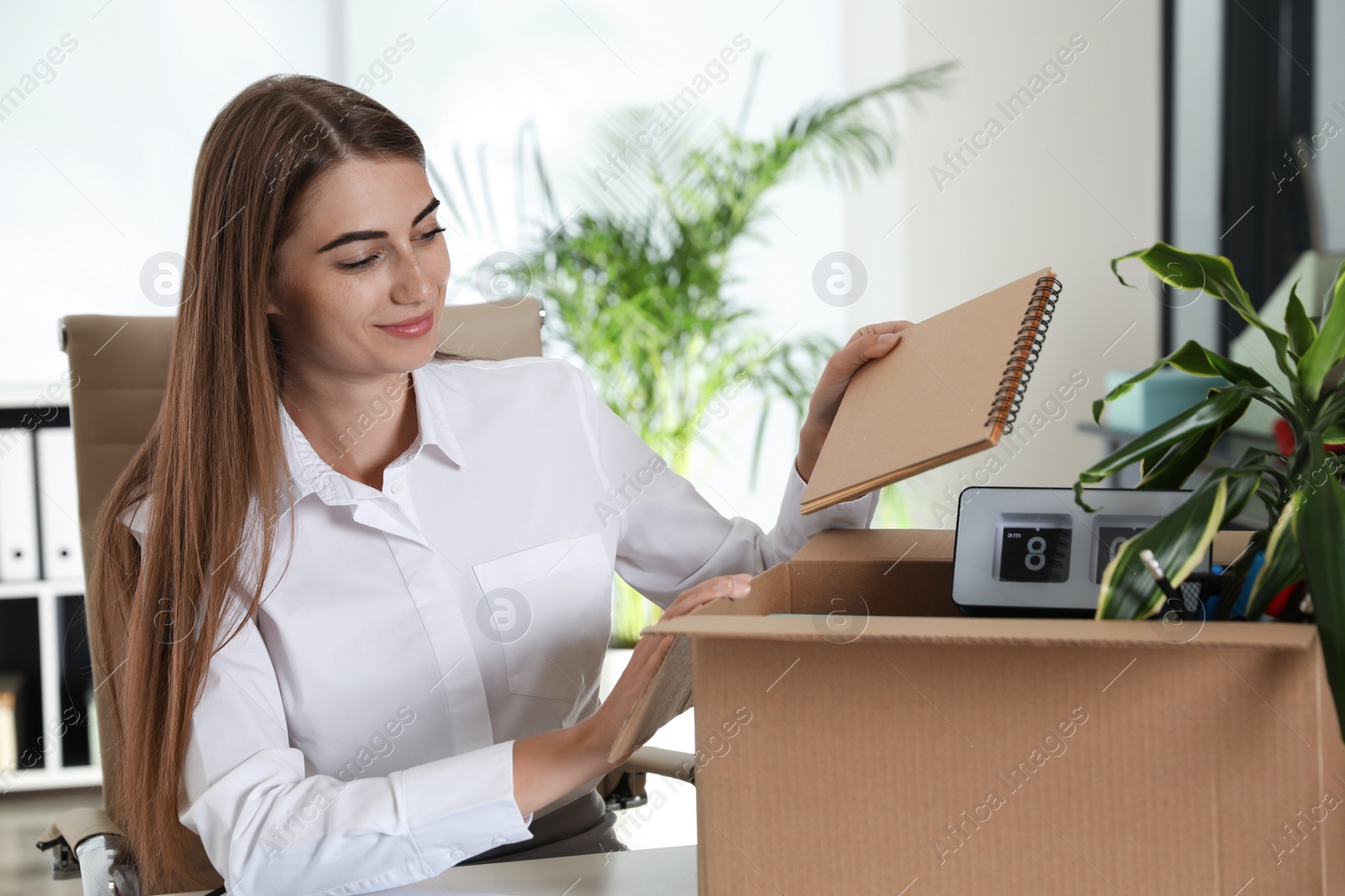 Photo of Happy young woman packing stuff in box at office