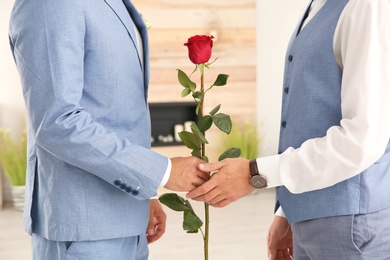 Photo of Happy newlywed gay couple with flower at home, closeup