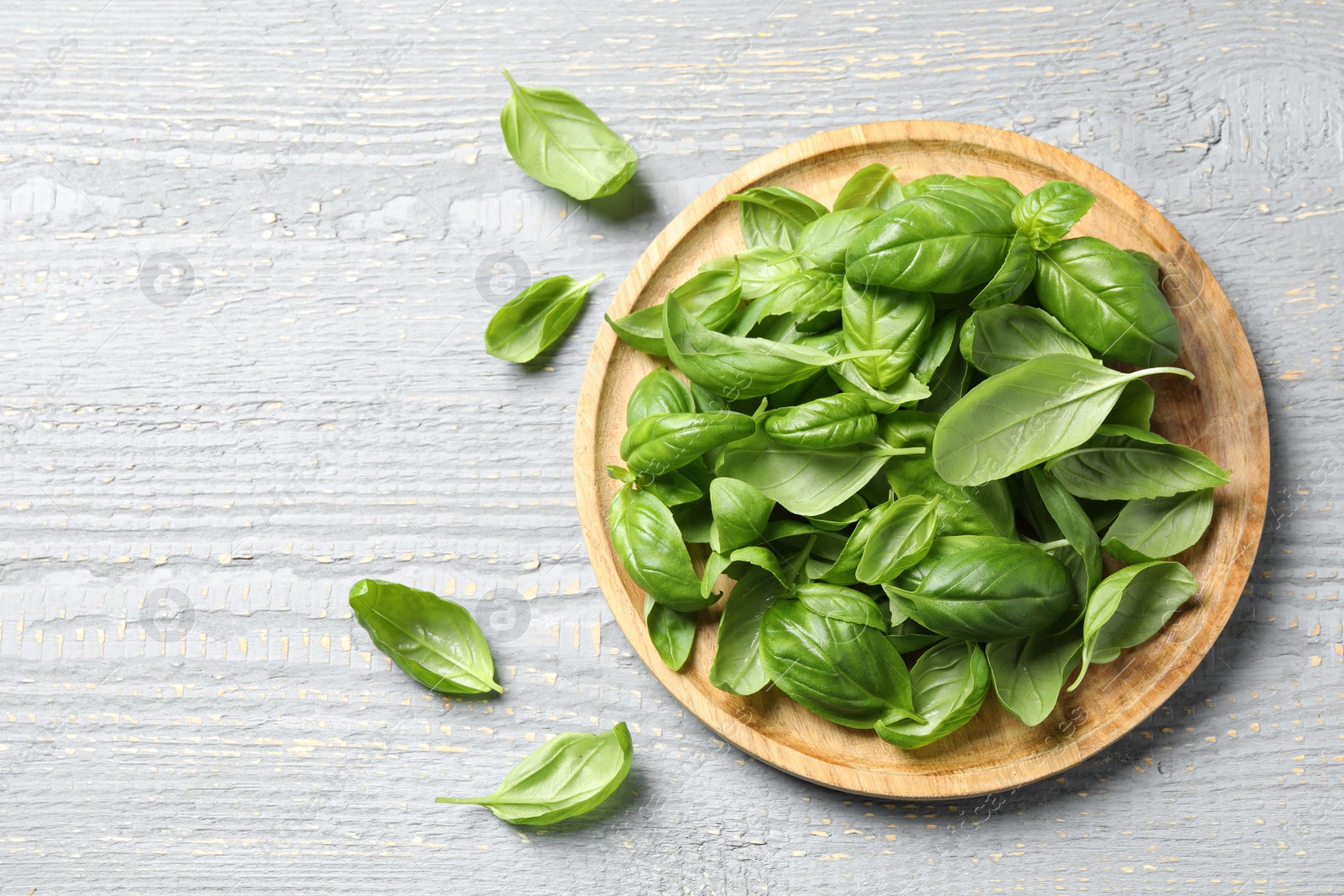 Photo of Fresh green basil on light grey wooden table, flat lay