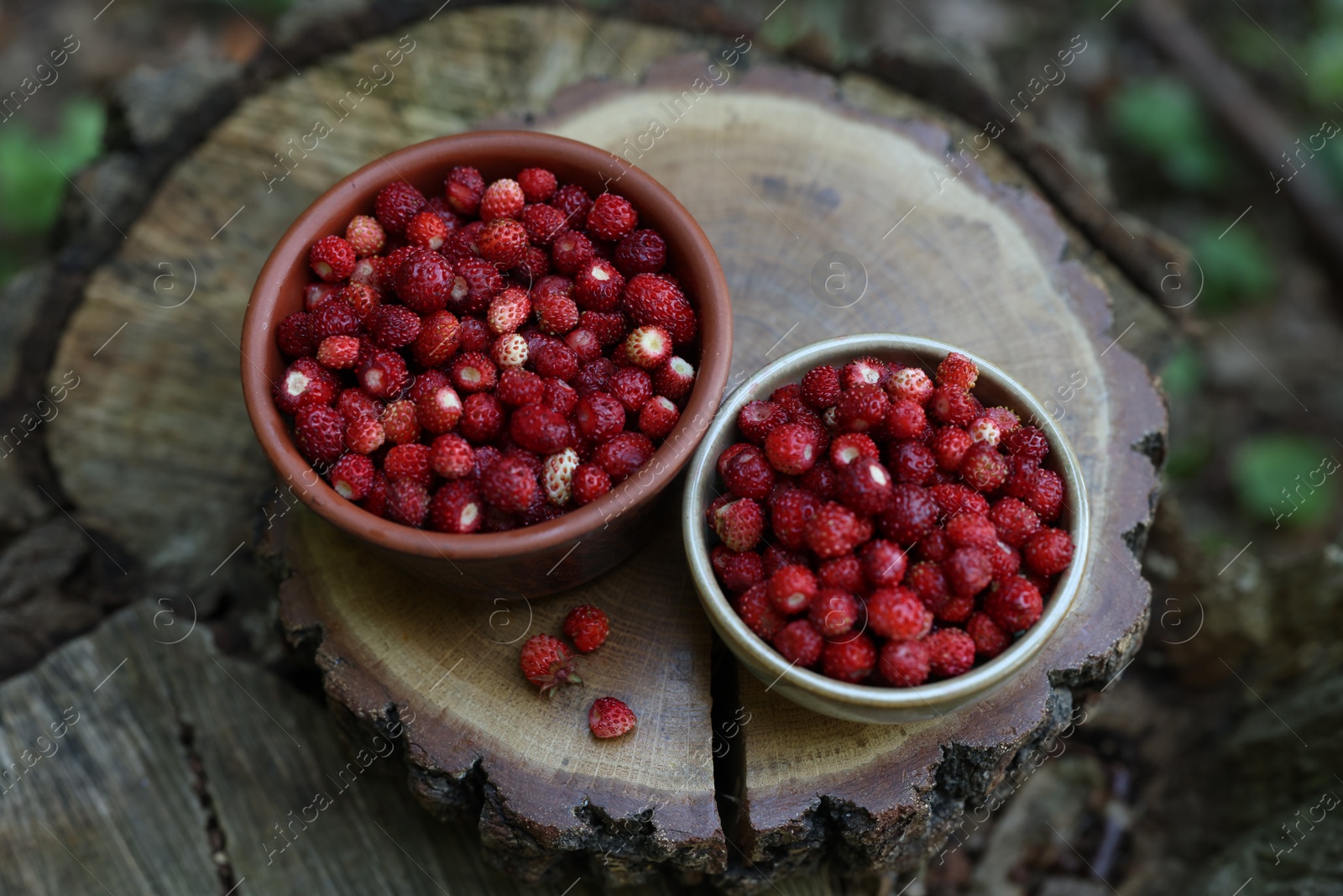 Photo of Bowls of tasty wild strawberries on stump outdoors, above view